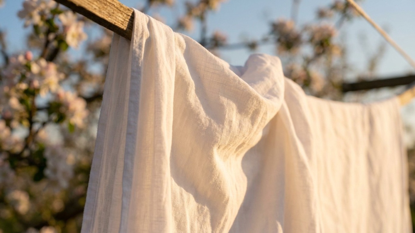 Je faisais sécher mes draps dehors chaque printemps : l'allergologue m'a montré ce qui s'incruste dans les fibres