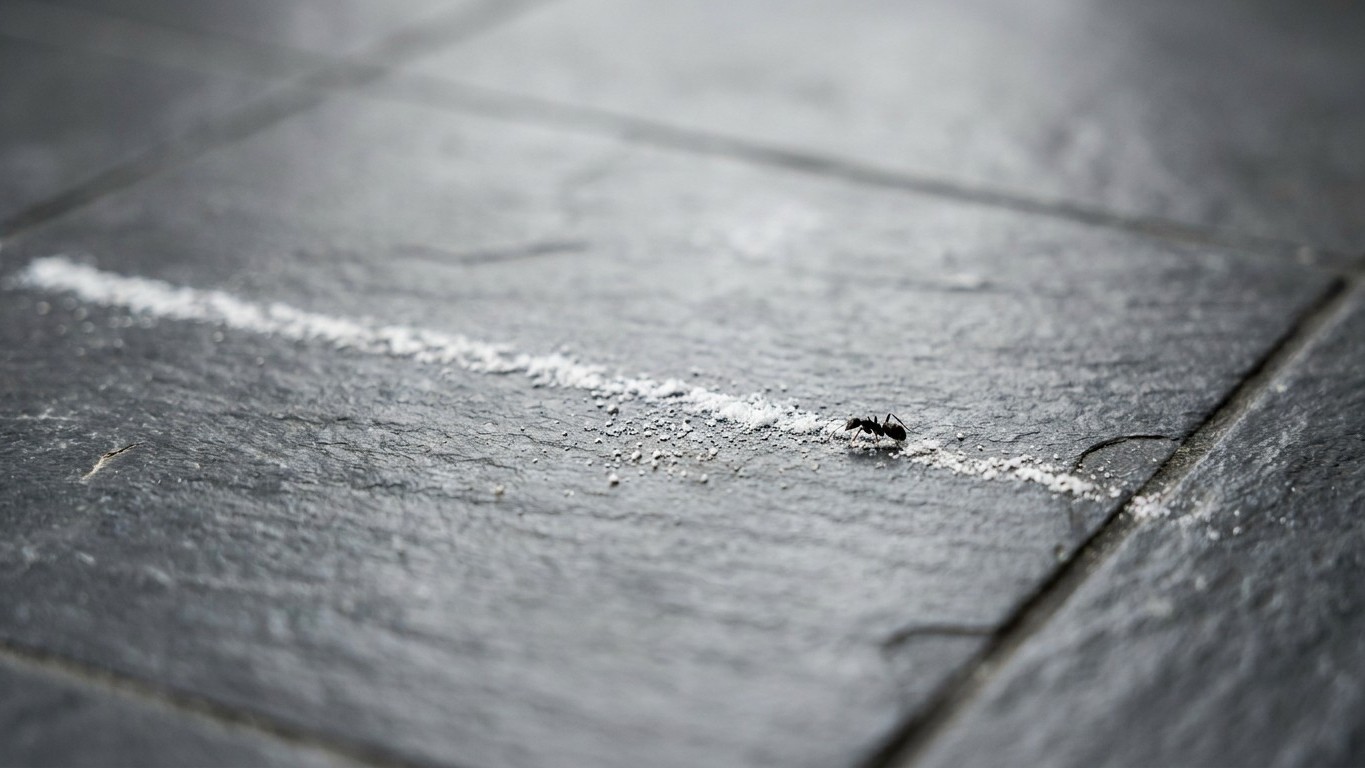 On s'obstine tous à tracer un trait de craie devant la porte contre les fourmis, alors que c'est cette trace invisible sur...
